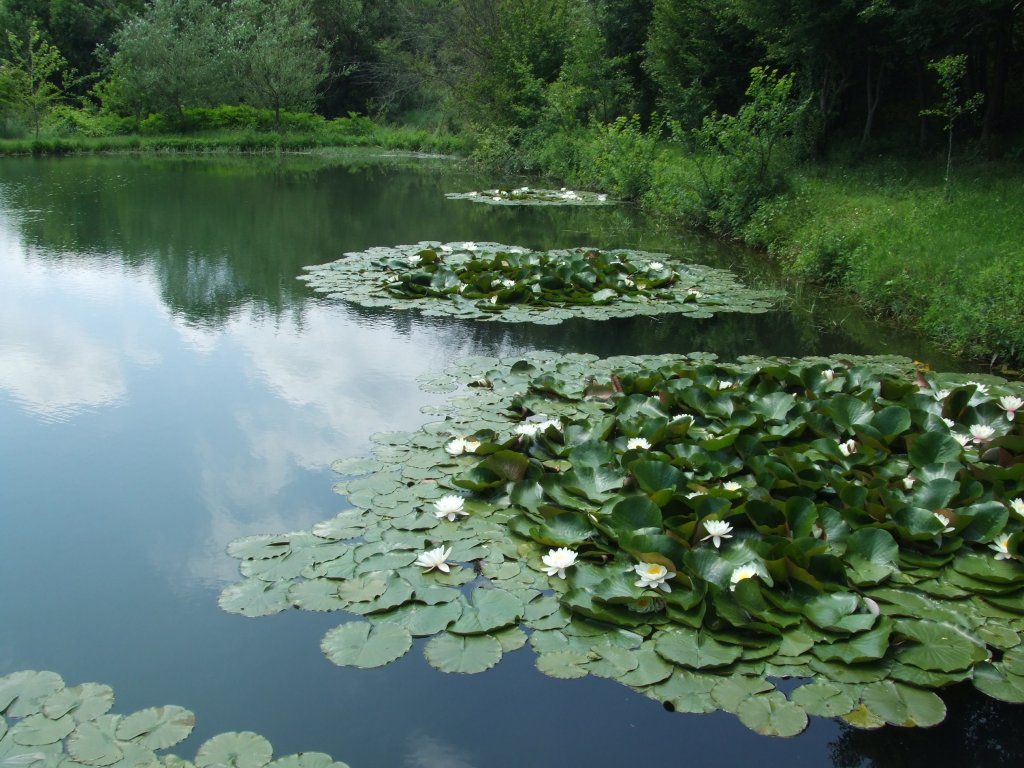 Натиснете снимката за да я уголемите

Име:DSCF2925.jpg
Прегледи:1
Размер:171.0 КБ
ID:5380400