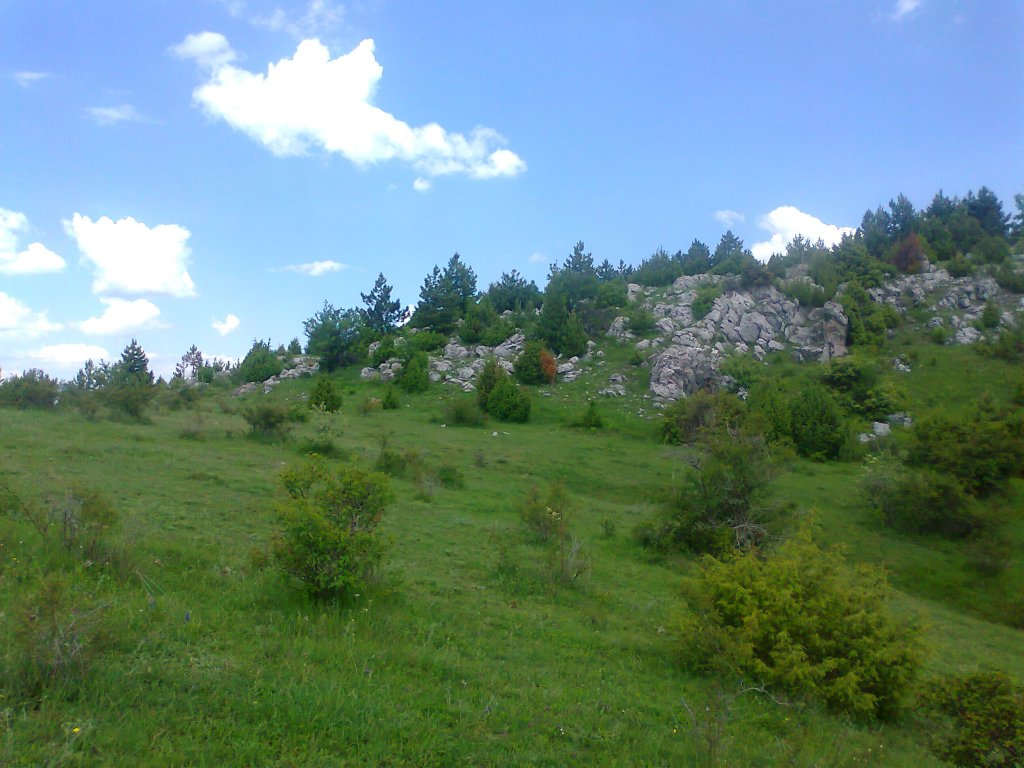 Натиснете снимката за да я уголемите

Име:Снимка3557.jpg
Прегледи:1
Размер:134.4 КБ
ID:5380905