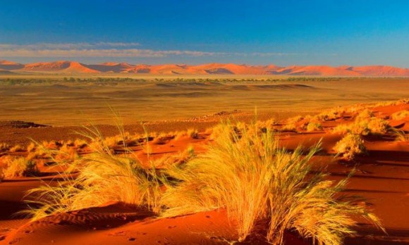 Натиснете снимката за да я уголемите

Име:namib_desert_3.jpg
Прегледи:1
Размер:57.7 КБ
ID:5973989