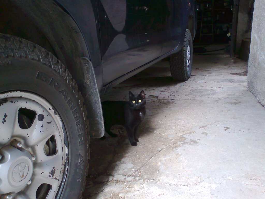 Натиснете снимката за да я уголемите

Име:Снимка3310.jpg
Прегледи:1
Размер:113.9 КБ
ID:5382317