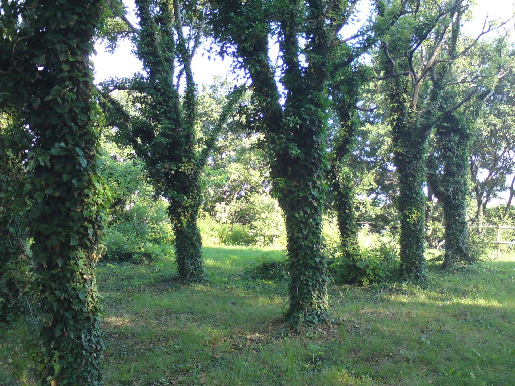 Натиснете снимката за да я уголемите

Име:DSC01076.jpg
Прегледи:1
Размер:289.9 КБ
ID:5382504