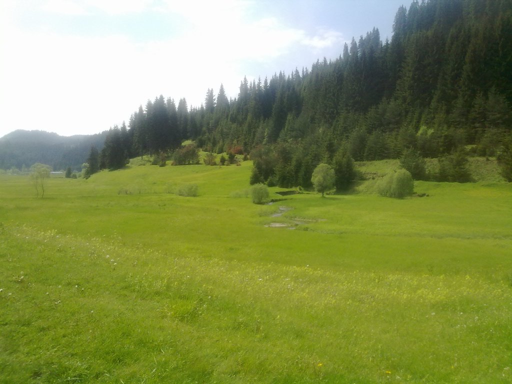 Натиснете снимката за да я уголемите

Име:050620121948.jpg
Прегледи:1
Размер:117.0 КБ
ID:5382810