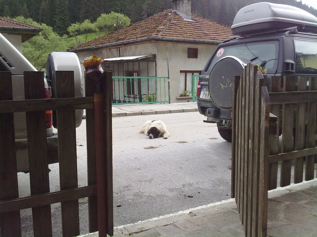 Натиснете снимката за да я уголемите

Име:060620121950.jpg
Прегледи:1
Размер:169.6 КБ
ID:5382817