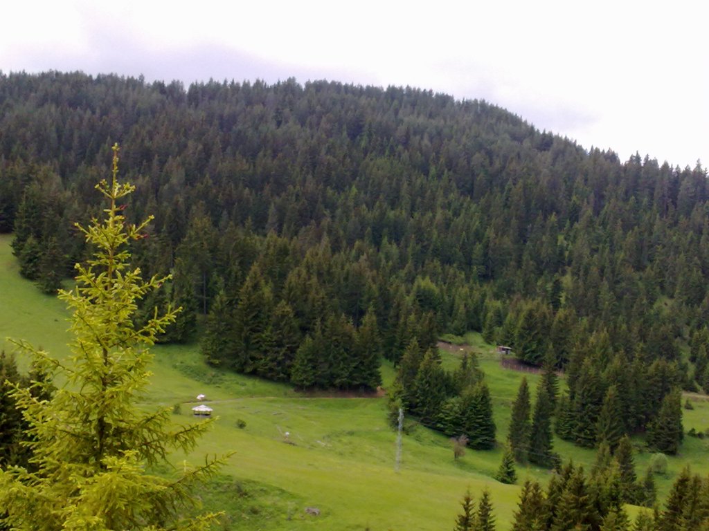 Натиснете снимката за да я уголемите

Име:060620122004.jpg
Прегледи:1
Размер:138.1 КБ
ID:5382832