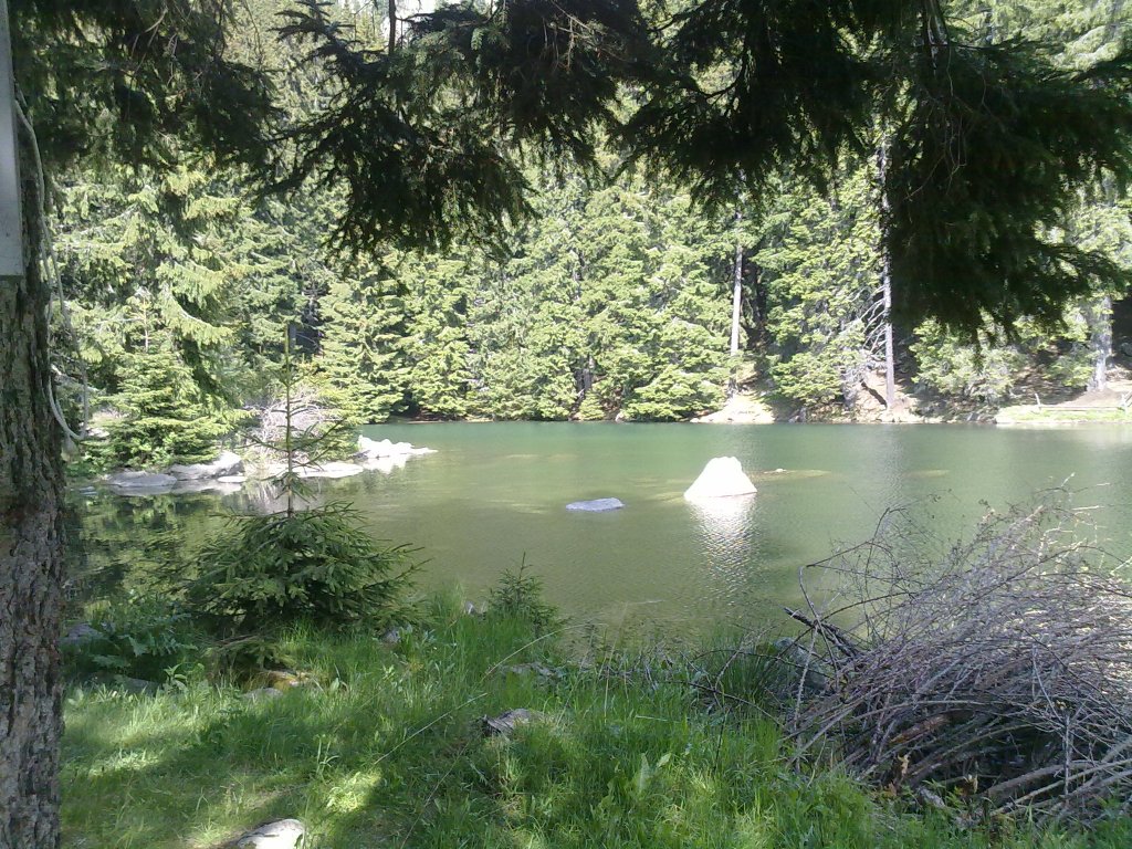 Натиснете снимката за да я уголемите

Име:060620122028.jpg
Прегледи:1
Размер:277.9 КБ
ID:5382845