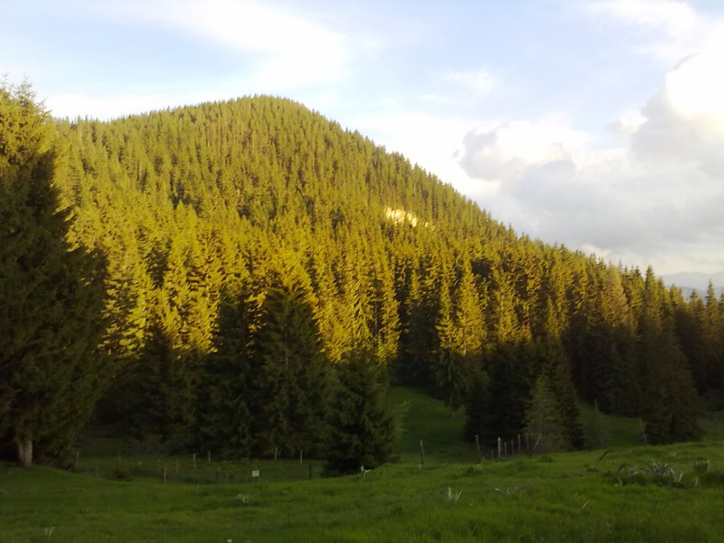 Натиснете снимката за да я уголемите

Име:060620122033.jpg
Прегледи:1
Размер:128.6 КБ
ID:5382849