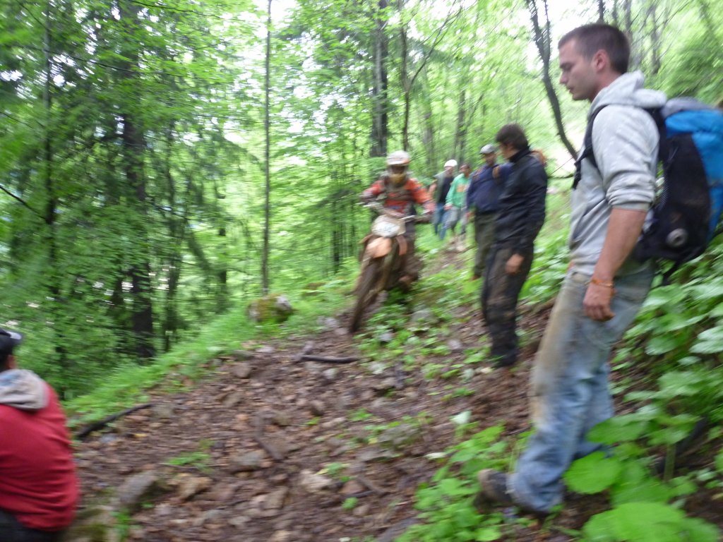 Натиснете снимката за да я уголемите

Име:P1010993.jpg
Прегледи:2
Размер:196.1 КБ
ID:5392002