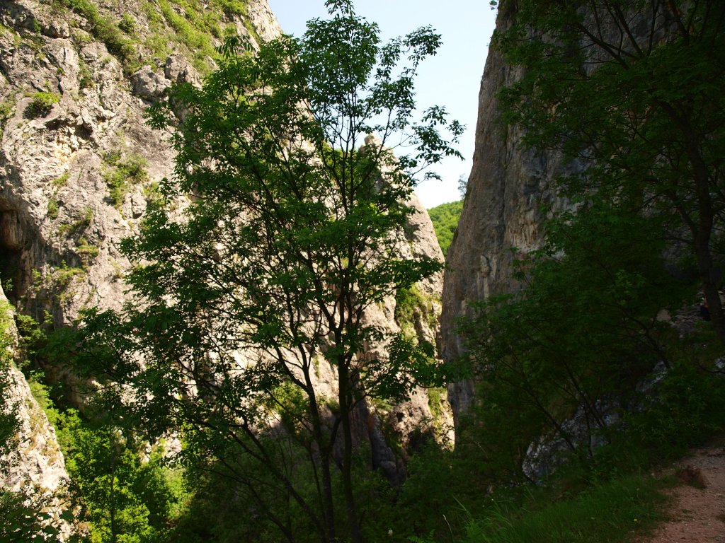 Натиснете снимката за да я уголемите

Име:P6093527.jpg
Прегледи:1
Размер:274.4 КБ
ID:5974904