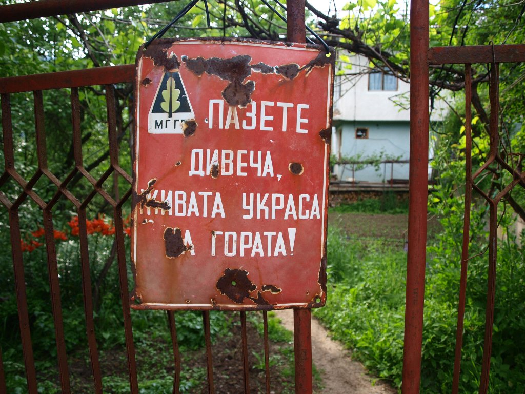 Натиснете снимката за да я уголемите

Име:P6093771.jpg
Прегледи:1
Размер:202.6 КБ
ID:5386182