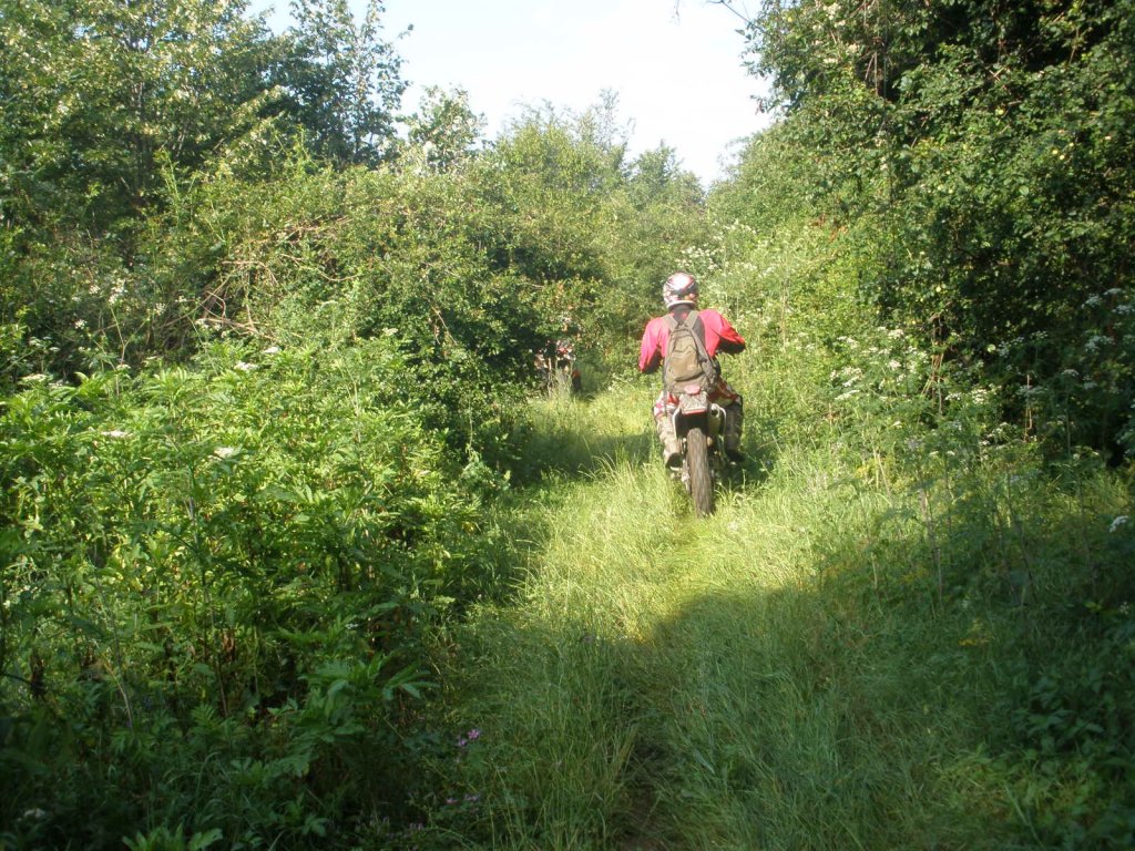 Натиснете снимката за да я уголемите

Име:P6240009.jpg
Прегледи:1
Размер:267.1 КБ
ID:5386510