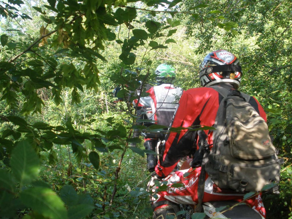 Натиснете снимката за да я уголемите

Име:P6240010.jpg
Прегледи:1
Размер:243.8 КБ
ID:5386511