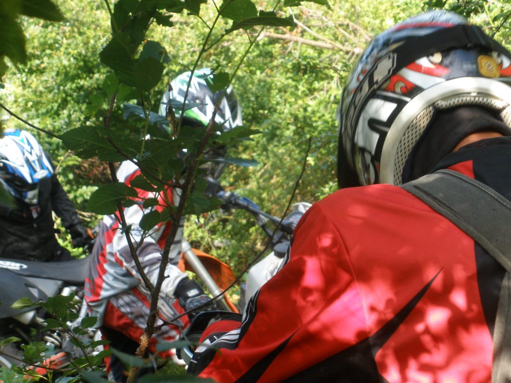 Натиснете снимката за да я уголемите

Име:P6240011.jpg
Прегледи:1
Размер:163.2 КБ
ID:5386512