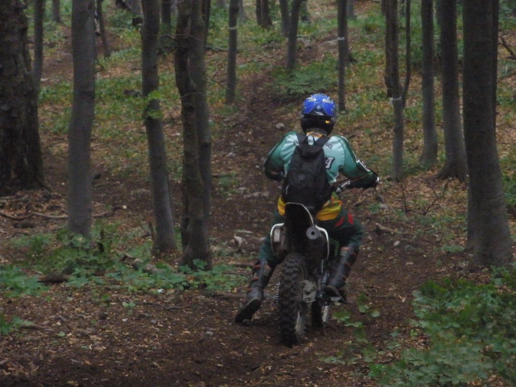 Натиснете снимката за да я уголемите

Име:P6240036.jpg
Прегледи:1
Размер:154.2 КБ
ID:5386521