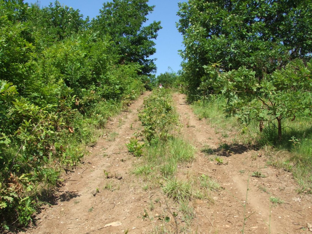 Натиснете снимката за да я уголемите

Име:DSCF3078.jpg
Прегледи:1
Размер:308.0 КБ
ID:5386836