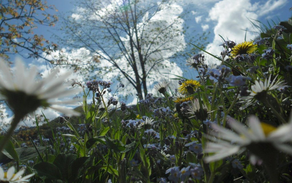 Натиснете снимката за да я уголемите

Име:SAM_1918.jpg
Прегледи:1
Размер:140.5 КБ
ID:5387014