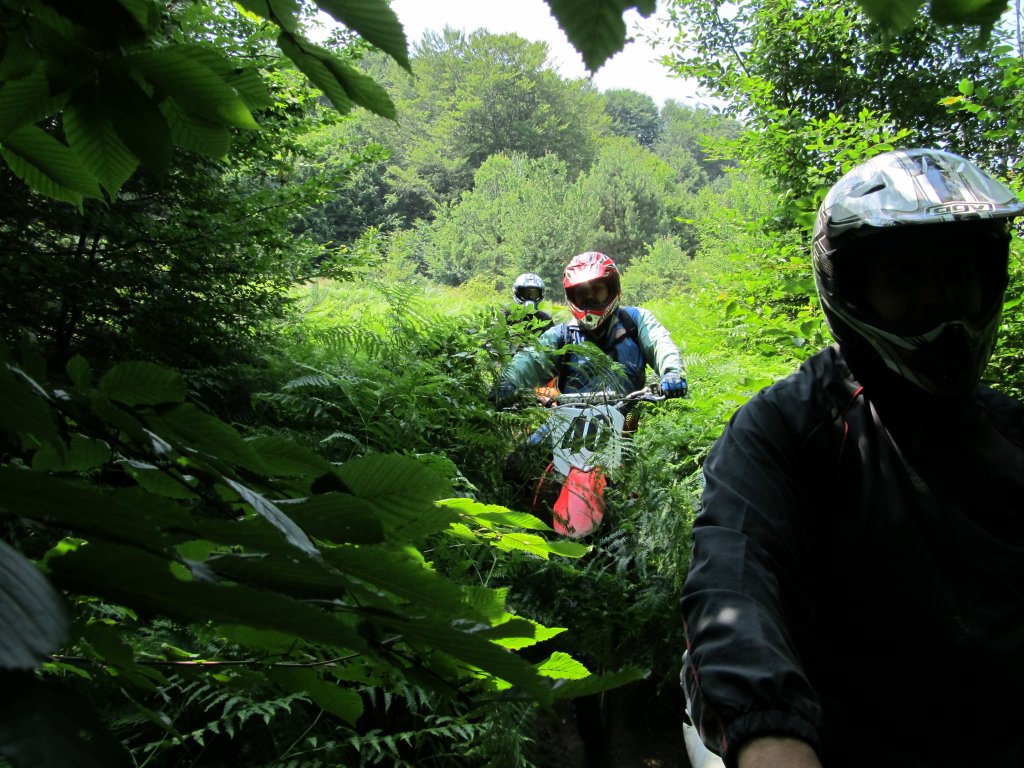 Натиснете снимката за да я уголемите

Име:IMG_1160.jpg
Прегледи:1
Размер:203.0 КБ
ID:5387043