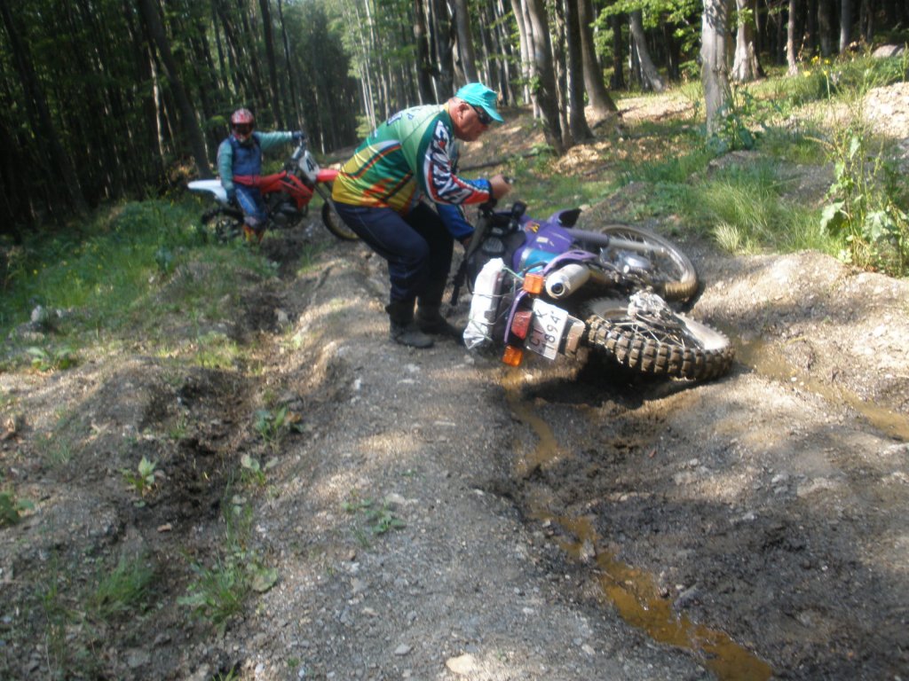 Натиснете снимката за да я уголемите

Име:P6300003.jpg
Прегледи:1
Размер:193.1 КБ
ID:5387066