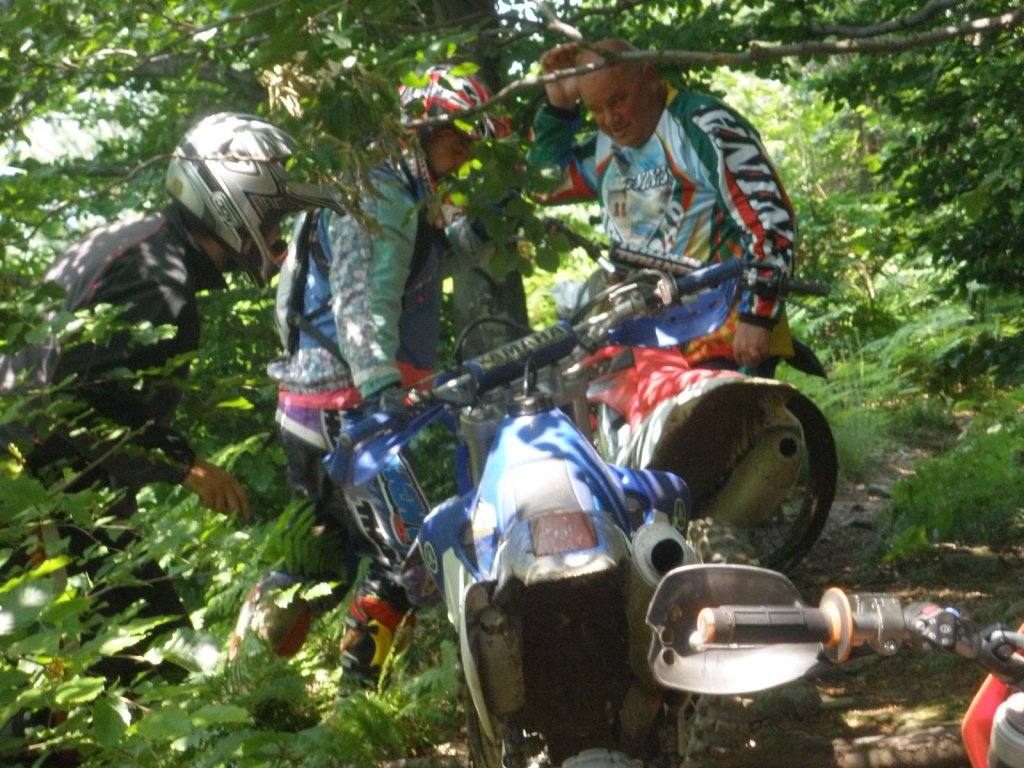 Натиснете снимката за да я уголемите

Име:P6300009.jpg
Прегледи:1
Размер:179.3 КБ
ID:5387072