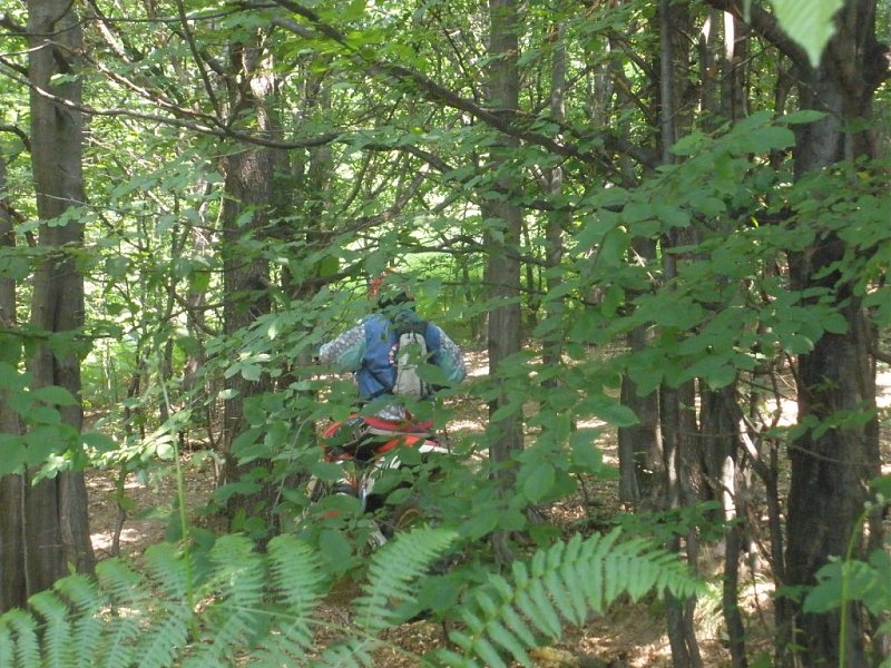 Натиснете снимката за да я уголемите

Име:P6300011.jpg
Прегледи:1
Размер:212.1 КБ
ID:5387187