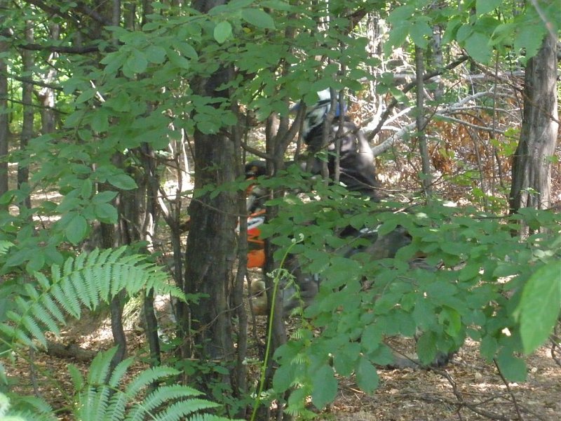 Натиснете снимката за да я уголемите

Име:P6300012.jpg
Прегледи:1
Размер:194.9 КБ
ID:5387188