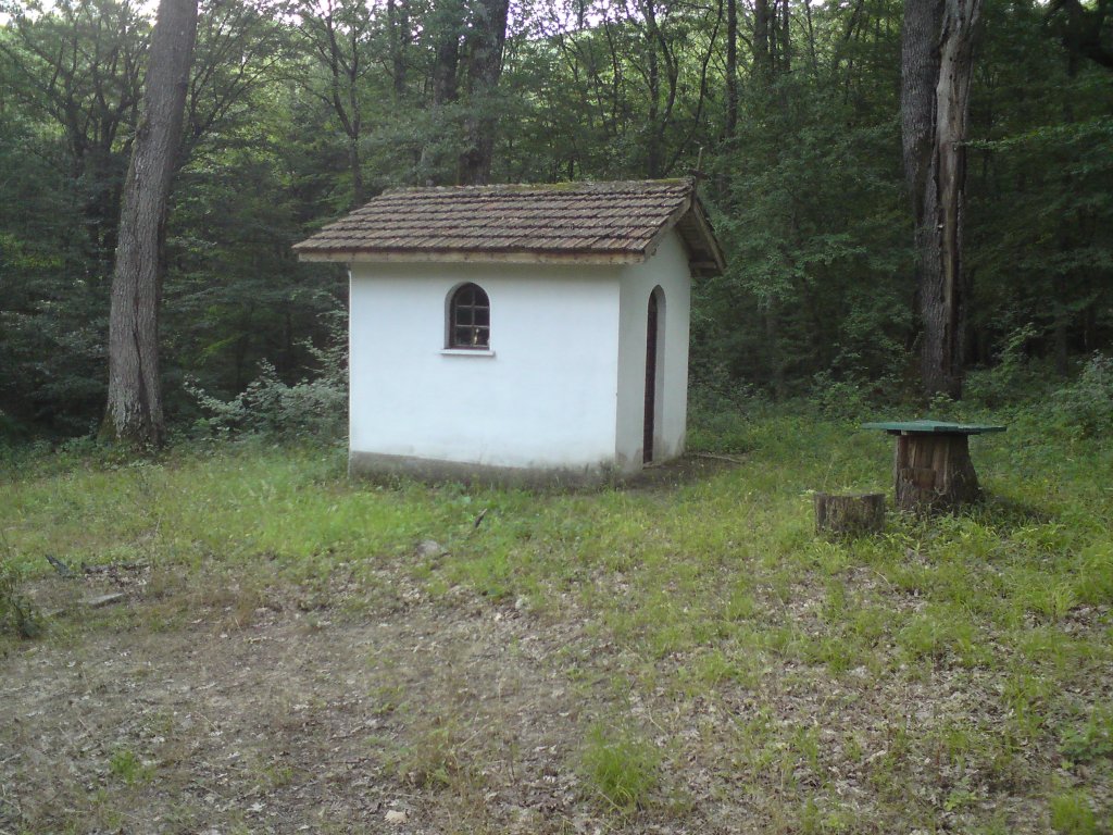 Натиснете снимката за да я уголемите

Име:DSC01209.jpg
Прегледи:1
Размер:211.3 КБ
ID:5976541