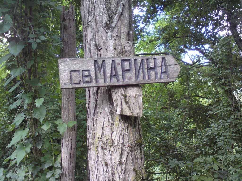 Натиснете снимката за да я уголемите

Име:DSC01216.jpg
Прегледи:1
Размер:274.2 КБ
ID:5976546