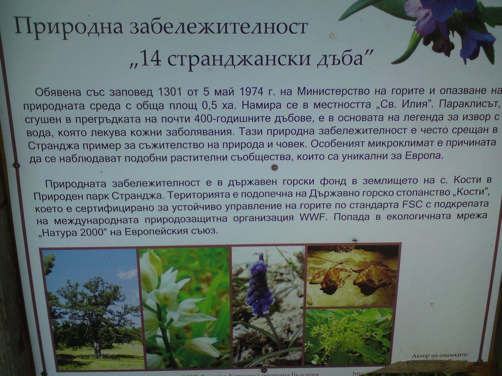 Натиснете снимката за да я уголемите

Име:DSC01252.jpg
Прегледи:1
Размер:167.1 КБ
ID:5976581
