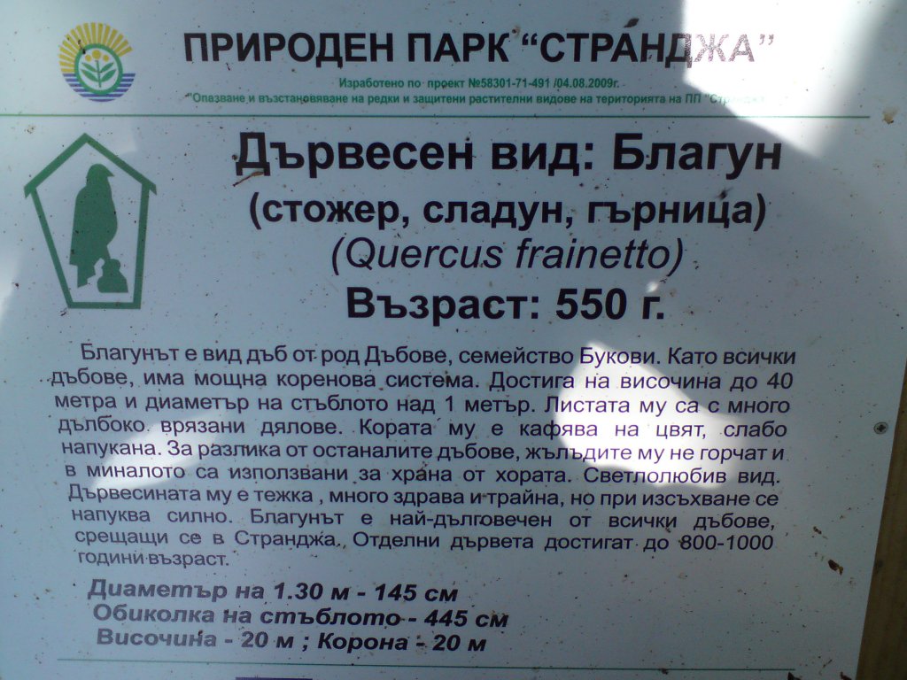 Натиснете снимката за да я уголемите

Име:DSC01267.jpg
Прегледи:1
Размер:153.5 КБ
ID:5976595