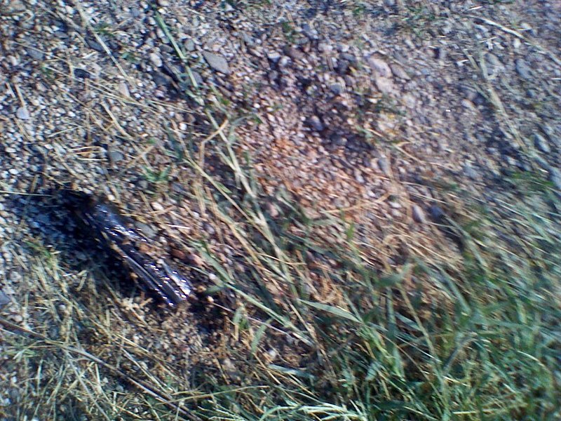 Натиснете снимката за да я уголемите

Име:2012-06-30 08.54.08.jpg
Прегледи:2
Размер:220.1 КБ
ID:5387780