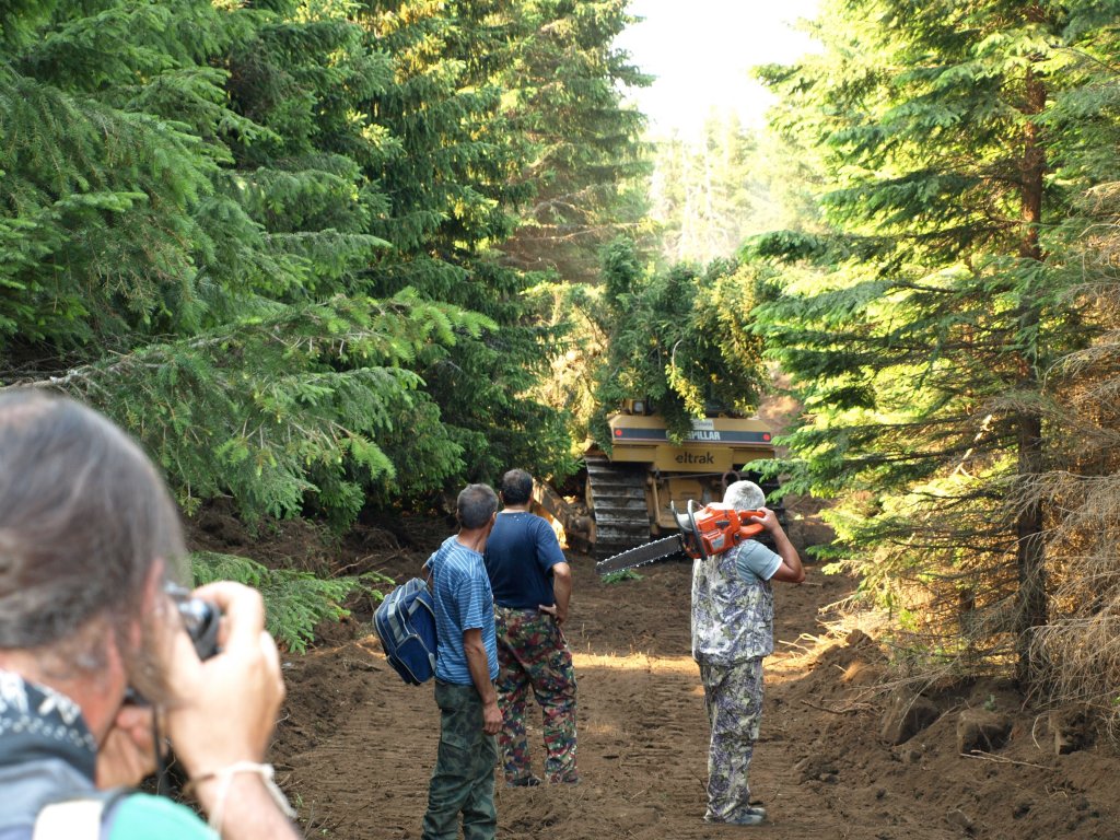 Натиснете снимката за да я уголемите

Име:pojar 043.jpg
Прегледи:1
Размер:261.5 КБ
ID:5387967
