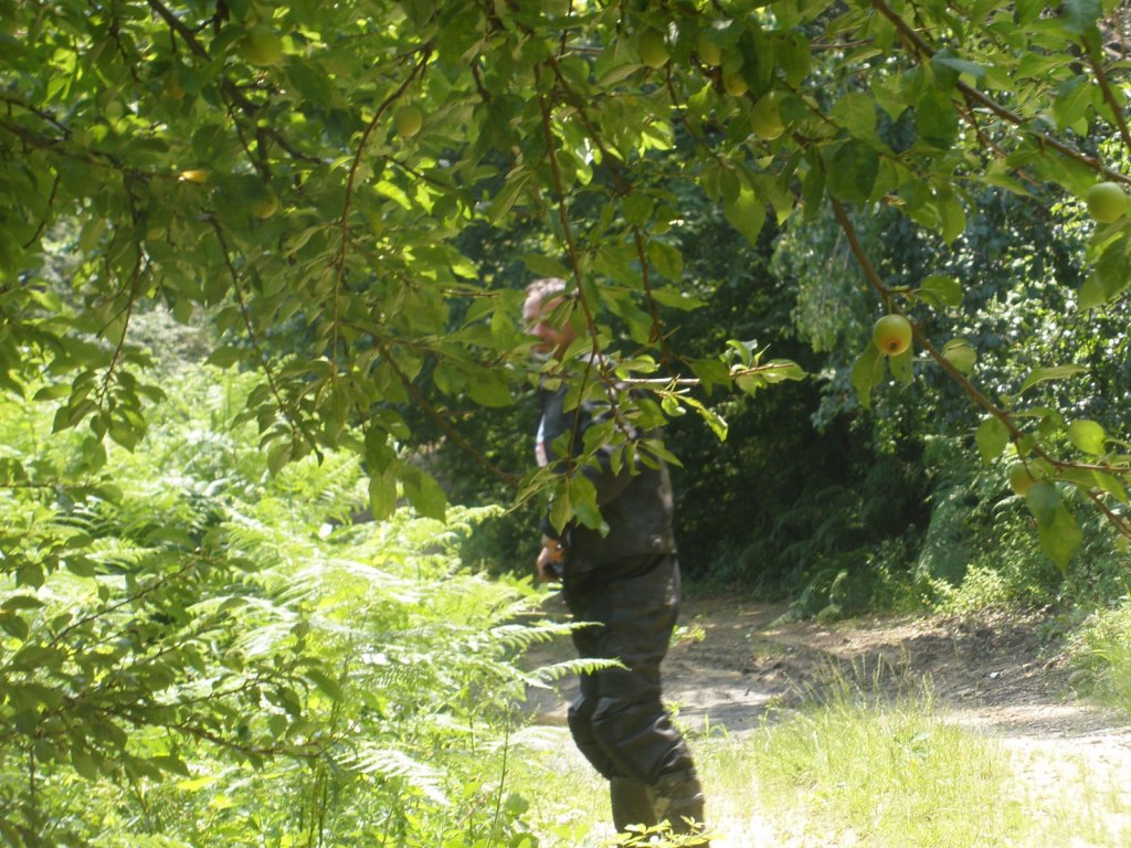 Натиснете снимката за да я уголемите

Име:P6300021.jpg
Прегледи:1
Размер:207.4 КБ
ID:5388081