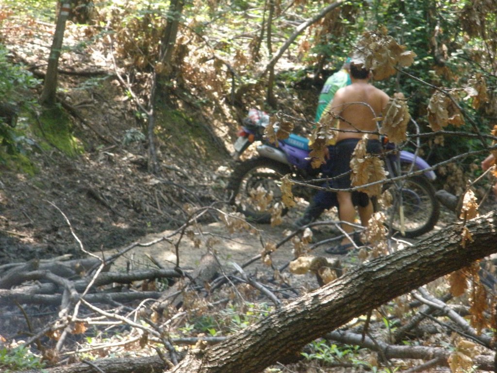 Натиснете снимката за да я уголемите

Име:P6300022.jpg
Прегледи:1
Размер:200.6 КБ
ID:5388082