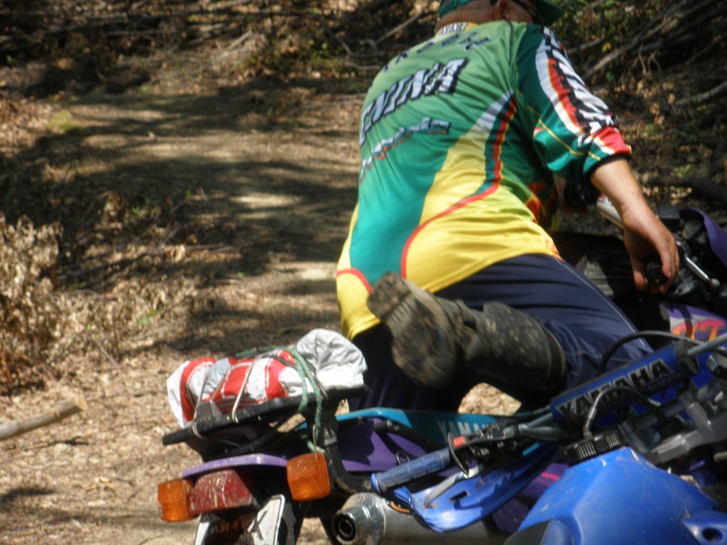 Натиснете снимката за да я уголемите

Име:P6300030.jpg
Прегледи:1
Размер:147.2 КБ
ID:5388090