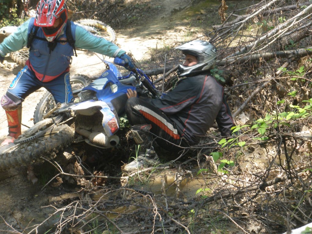 Натиснете снимката за да я уголемите

Име:P6300032.jpg
Прегледи:1
Размер:226.4 КБ
ID:5388105