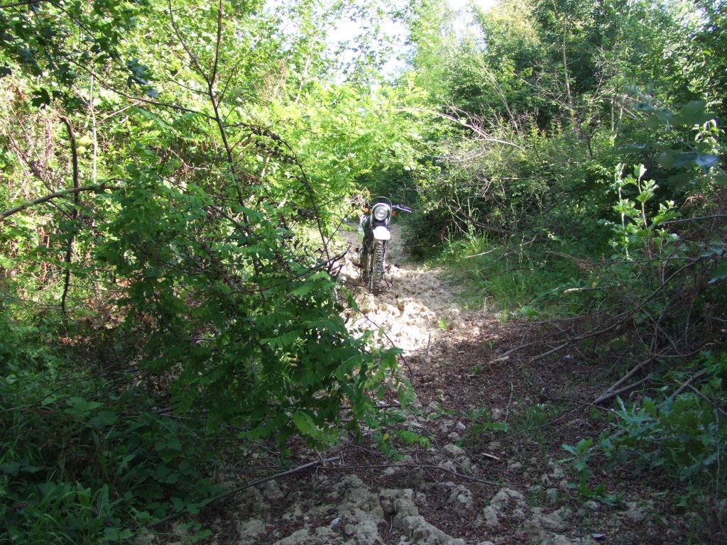 Натиснете снимката за да я уголемите

Име:DSCF3173.jpg
Прегледи:1
Размер:303.7 КБ
ID:5388508