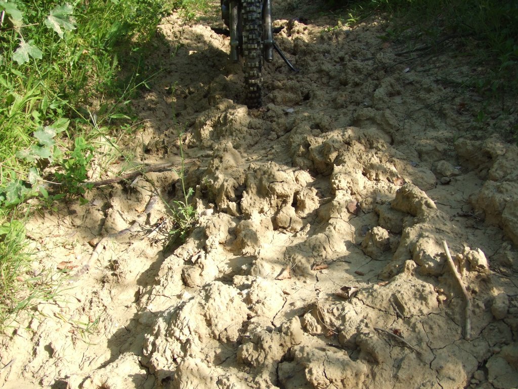 Натиснете снимката за да я уголемите

Име:DSCF3174.jpg
Прегледи:1
Размер:263.3 КБ
ID:5388509