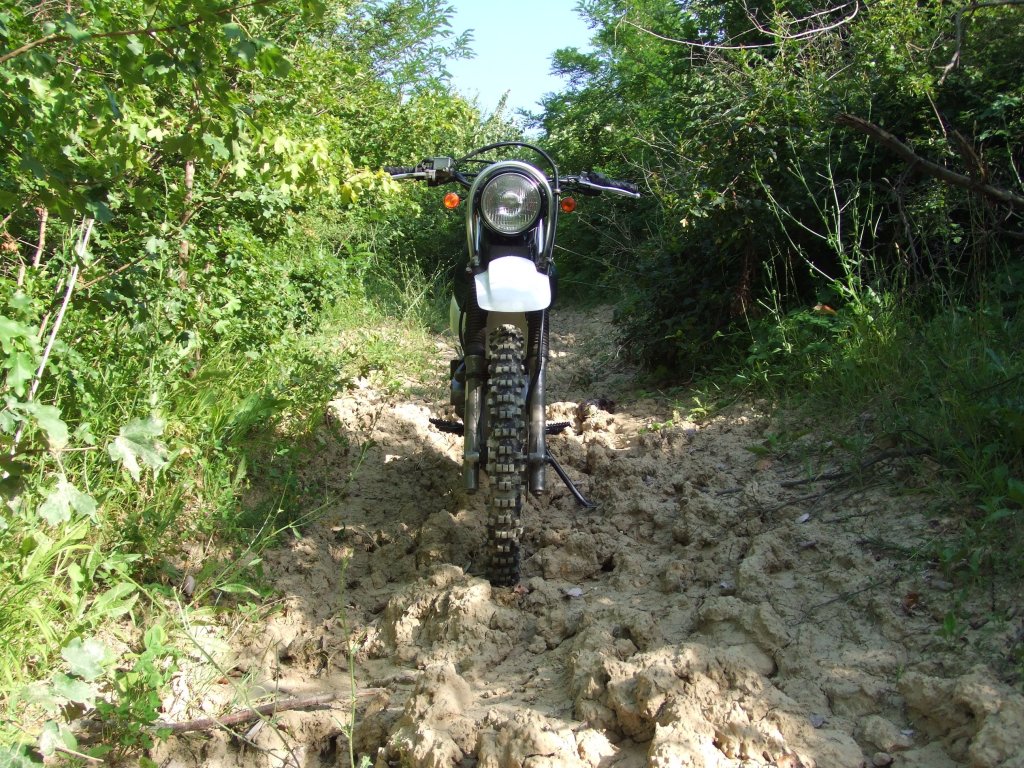 Натиснете снимката за да я уголемите

Име:DSCF3175.jpg
Прегледи:1
Размер:296.9 КБ
ID:5388510