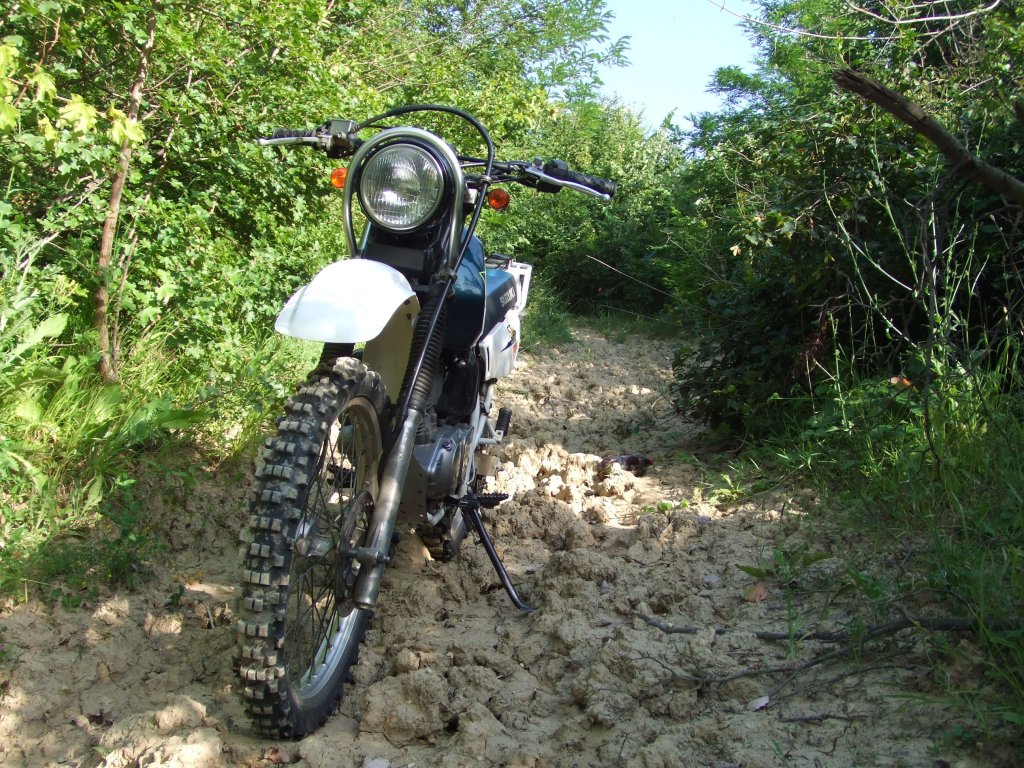 Натиснете снимката за да я уголемите

Име:DSCF3177.jpg
Прегледи:1
Размер:290.2 КБ
ID:5388512