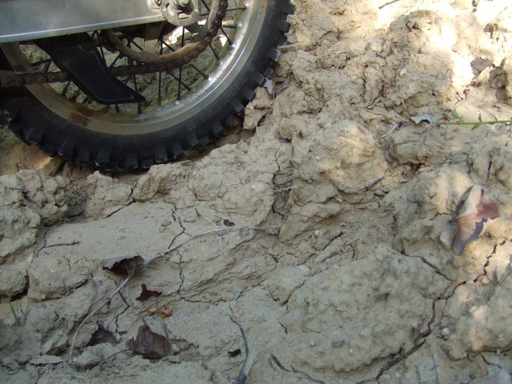 Натиснете снимката за да я уголемите

Име:DSCF3178.jpg
Прегледи:1
Размер:180.7 КБ
ID:5388513