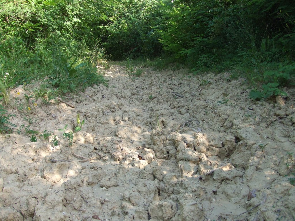 Натиснете снимката за да я уголемите

Име:DSCF3180.jpg
Прегледи:1
Размер:243.1 КБ
ID:5388515