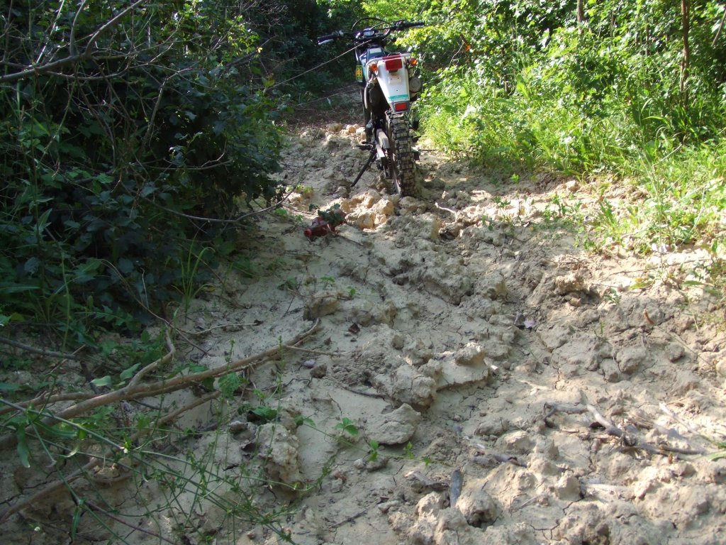 Натиснете снимката за да я уголемите

Име:DSCF3181.jpg
Прегледи:1
Размер:258.0 КБ
ID:5388516