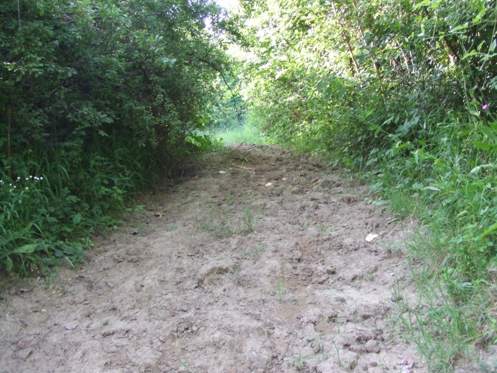 Натиснете снимката за да я уголемите

Име:DSCF3183.jpg
Прегледи:1
Размер:236.8 КБ
ID:5388518