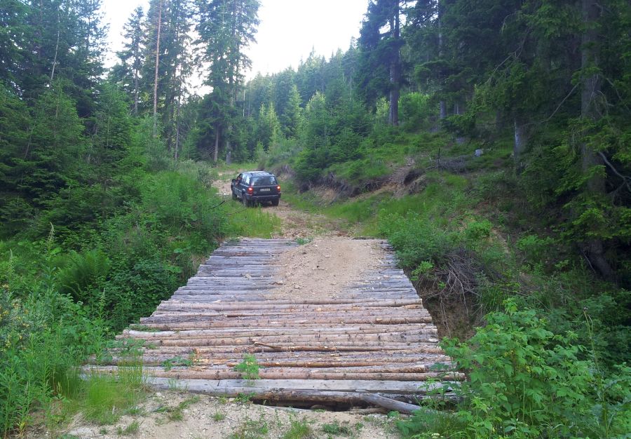Натиснете снимката за да я уголемите

Име:20120705_182234.jpg
Прегледи:1
Размер:208.0 КБ
ID:5388628