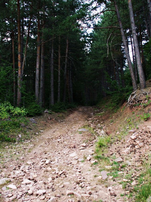 Натиснете снимката за да я уголемите

Име:DSCF5524.jpg
Прегледи:1
Размер:159.6 КБ
ID:5390177