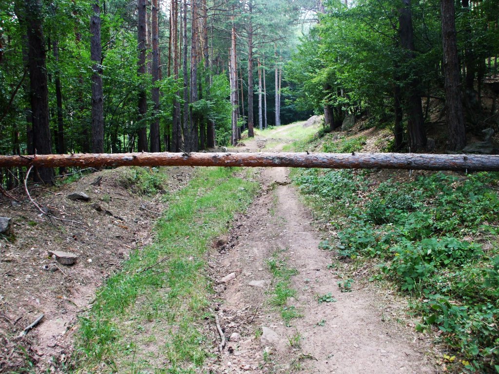 Натиснете снимката за да я уголемите

Име:DSCF5527.jpg
Прегледи:1
Размер:324.8 КБ
ID:5390178