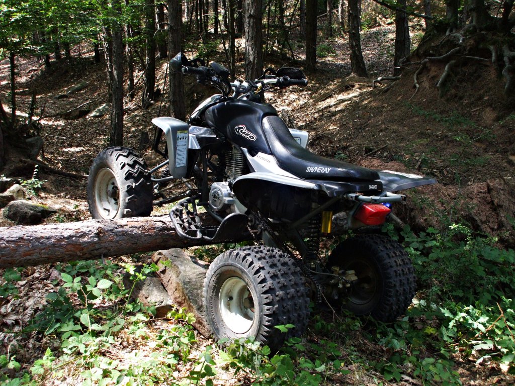 Натиснете снимката за да я уголемите

Име:DSCF5529.jpg
Прегледи:1
Размер:294.6 КБ
ID:5390180