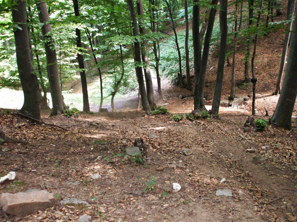 Натиснете снимката за да я уголемите

Име:DSCF5531.jpg
Прегледи:1
Размер:281.5 КБ
ID:5390184