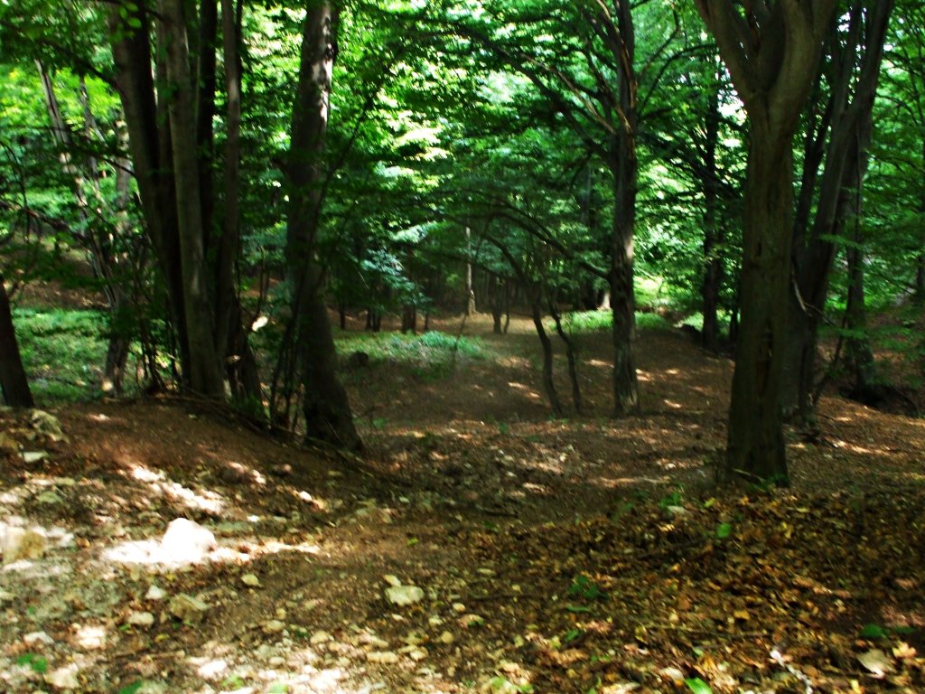 Натиснете снимката за да я уголемите

Име:DSCF5533.jpg
Прегледи:1
Размер:226.1 КБ
ID:5390186