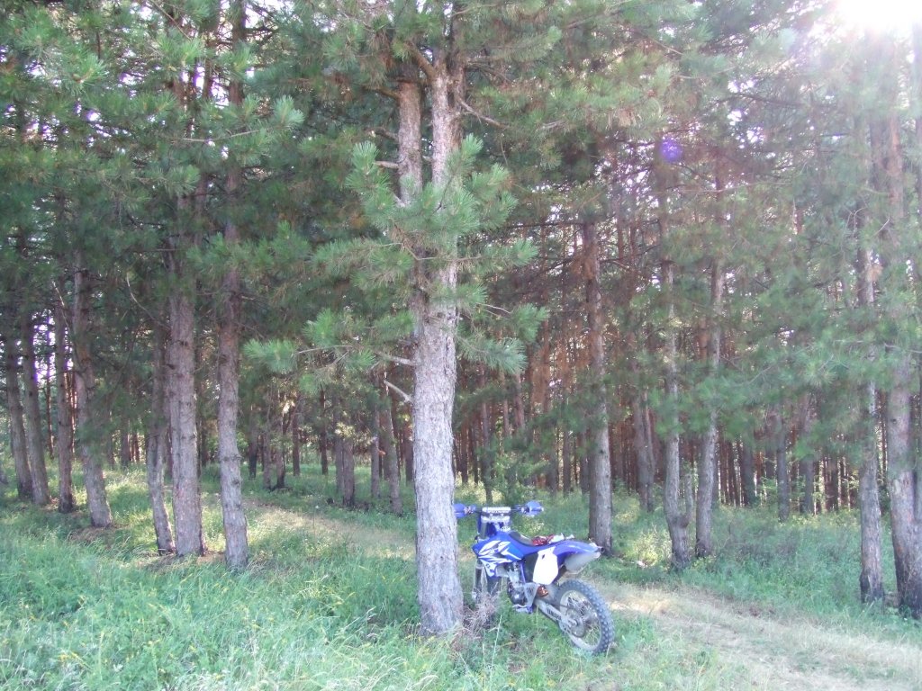 Натиснете снимката за да я уголемите

Име:DSCF3194.jpg
Прегледи:1
Размер:227.5 КБ
ID:5390269