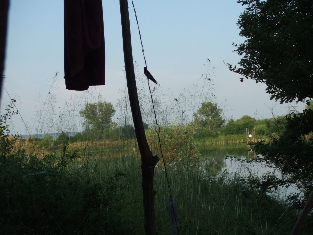 Натиснете снимката за да я уголемите

Име:DSCF3213.jpg
Прегледи:1
Размер:136.4 КБ
ID:5390271